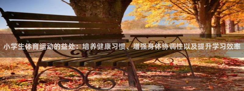 利记官网下载注册：小学生体育运动的益处：培养健康习惯、增强身