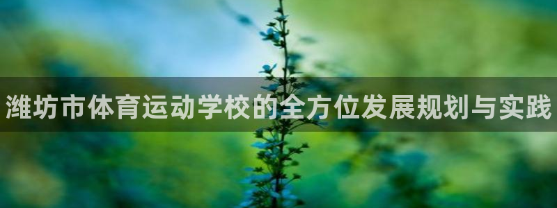 利记官方正版app官网：潍坊市体育运动学校的全方位发展规划与