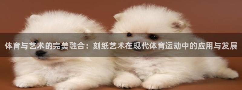 利记官方正版app娱乐：体育与艺术的完美融合：刻纸艺