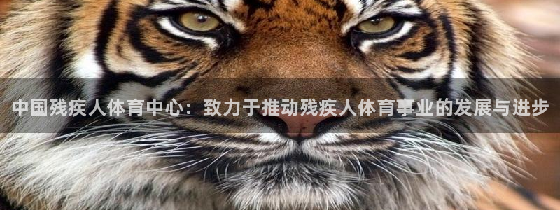利记官方正版app娱乐40996：中国残疾人体育中心：致力于