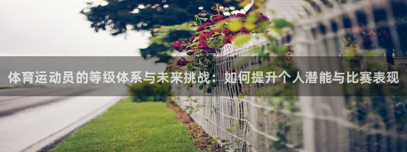 利记官网下载开户：体育运动员的等级体系与未来挑战：如何提升个