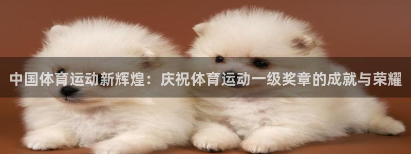 注册利记官方正版app：中国体育运动新辉煌：庆祝体育