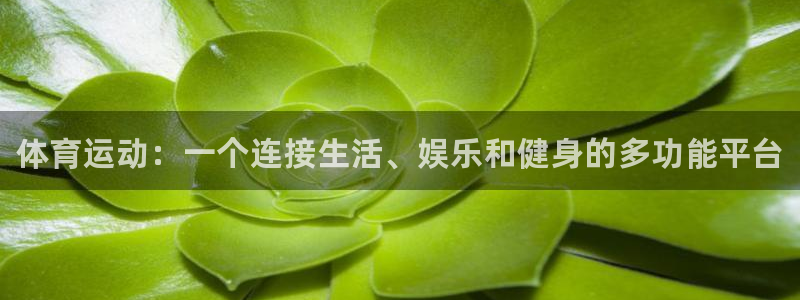 利记官方正版app娱乐首页网站大全：体育运动：一个连