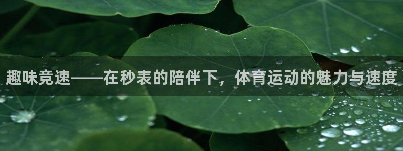 利记官方正版app集团官网网址：趣味竞速——在秒表的陪伴下，
