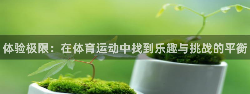 利记官方正版app集团logo：体验极限：在体育运动