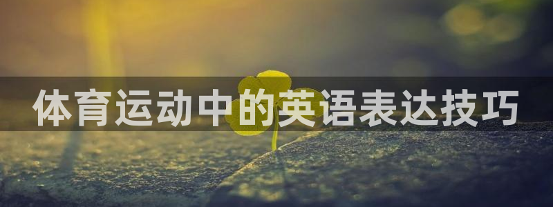 利记官网下载平台注册流程视频：体育运动中的英语表达技