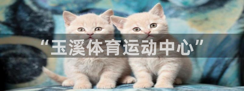 利记官方平台体育：“玉溪体育运动中心”