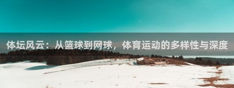 利记官方正版app新能源：体坛风云：从篮球到网球，体育运动的