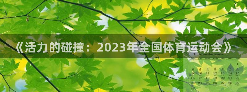 利记官网下载招商电话是多少号码：《活力的碰撞：2023年全国