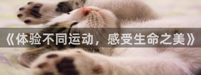 利记官方正版app娱乐是那个系列的台子：《体验不同运动，感受