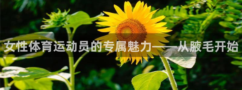 利记官方正版app开户：女性体育运动员的专属魅力——从腋毛开