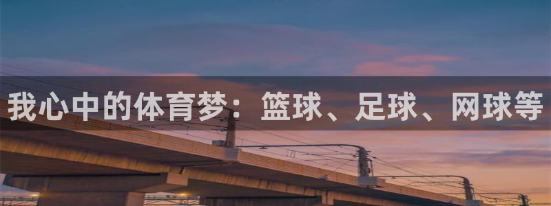 利记官方正版app神州：我心中的体育梦：篮球、足球、网球等