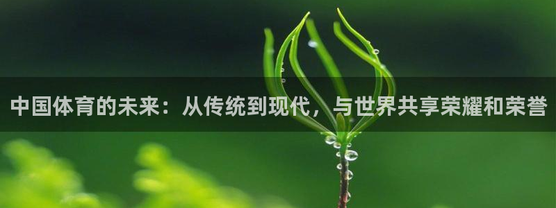 利记88备用网址：中国体育的未来：从