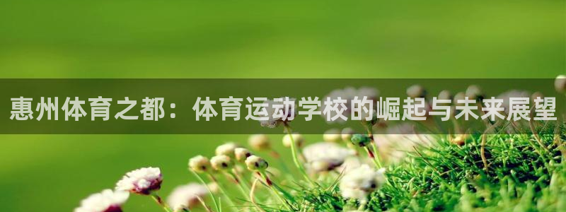 利记app怎么样：惠州体育之都：体育