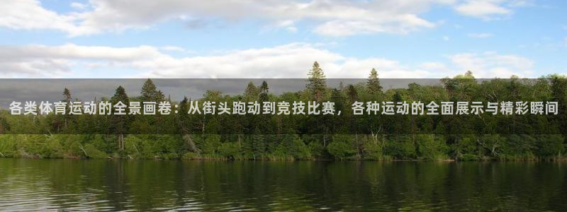 利记代理备用网址：各类体育运动的全景