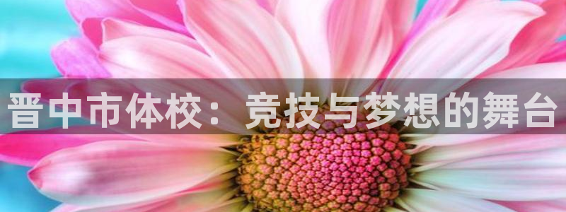 利记sbobet登录入口：晋中市体校