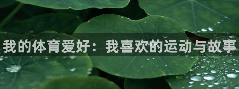 利记官网平台入口：我的体育爱好：我喜