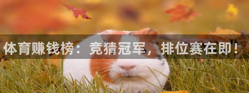 利记手机官网：体育赚钱榜：竞猜冠军，