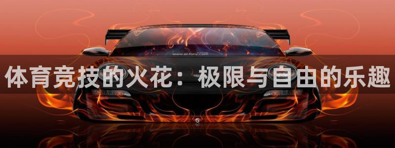 利记网址是多少：体育竞技的火花：极限