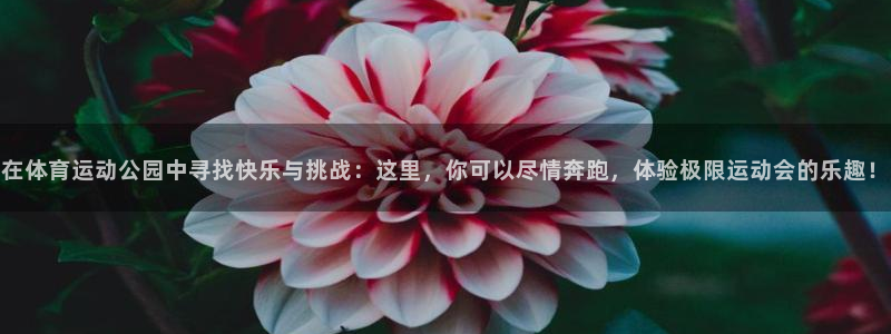 利记官网下载平台注册要钱吗是真的吗：在体育运动公园中寻找快乐