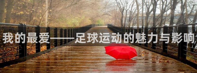 利记官方正版app娱乐首页网站大全：我的最爱——足球运动的魅