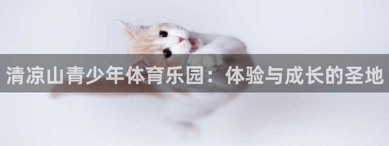 利记官网下载招商电话地址是多少：清凉山青少年体育乐园：体验与