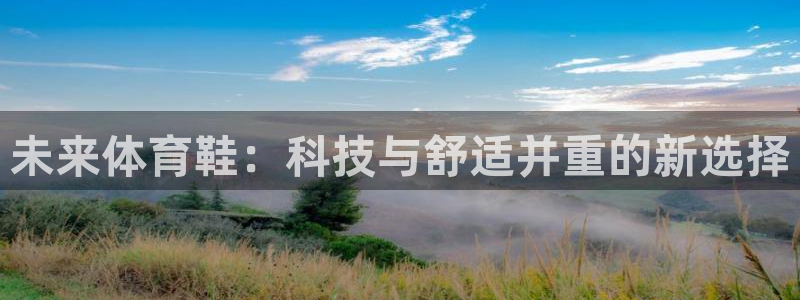 利记官方正版app娱乐40996：未来体育鞋：科技与舒适并重