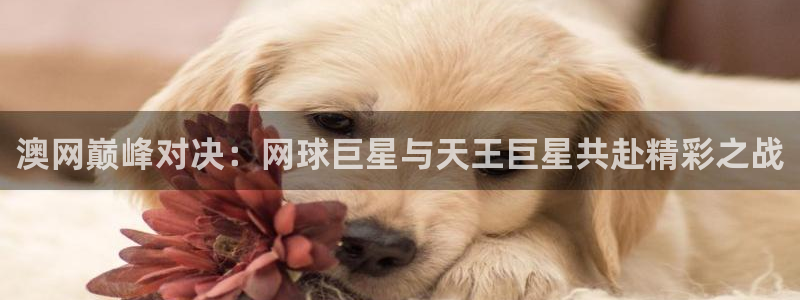 小柠檬直播