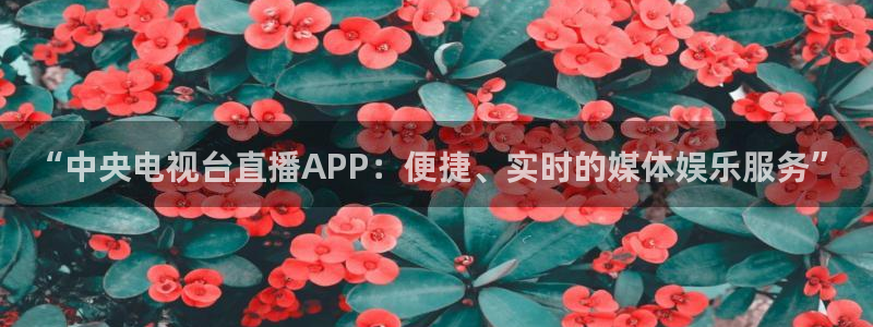 柠檬nba直播：“中央电视台直播APP：便捷、实时的媒体娱乐服务”