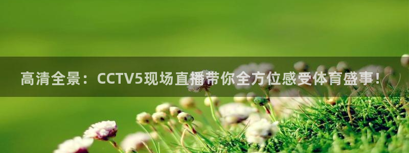 柠檬jrs直播