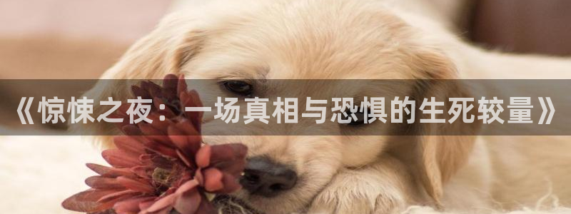 柠檬tv直播：《惊悚之夜：一场真相与恐惧的生死较量》