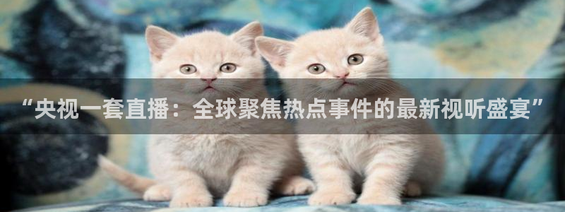 足球比赛柠檬直播：“央视一套直播：全球聚焦热点事件的最新视听盛宴”